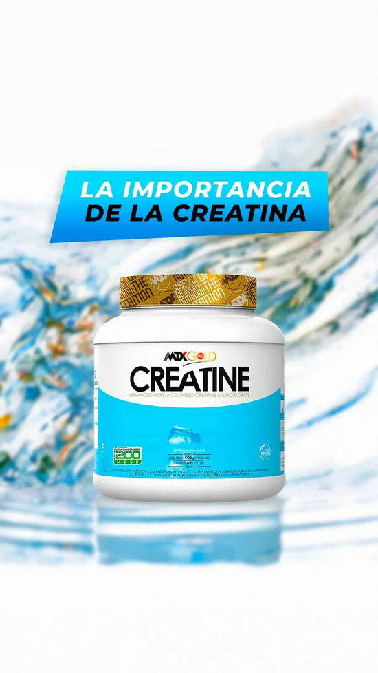Creatina Monohidrato (300g): ¡Pureza Extrema para tu Máximo Rendimiento!